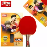 Nice Quality Entry Level Double Fish DHS Table Tennis Racket Ping Pong Paddle