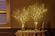 Lighted Branches 150 LED Fairy Lights with Timer 32In Plug In, Electric Lit Whit