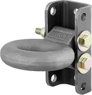 CURT 48631 Pintle Hitch Lunette Ring with Adjustable Channel Mount, 3-Inch I.D., 12,000 lbs. GTW, 7-1/2-Inch x 3-1/2-Inch Channel