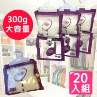 在飛比找momo購物網優惠-【團購好物】300g大容量掛式除濕袋20入組(除溼袋 除濕 