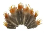 1/8 Lb. - Natural Yellow Golden Pheasant Plumage Wholesale Feather Halloween