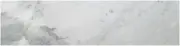MSI TARACAR6240.38P Arabescato Carrara - 6" x 24" Rectangle Floor - Polished