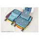 韓國旅行收納袋六件組 防水小飛機防水網格化妝包旅遊收納袋行李箱 6色 (隨機出貨) (9折)