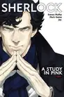 Mark Gatiss Steven Moffat Sherlock (Paperback)