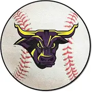 FANMATS NCAA Minnesota State Univ Mankato Mavericks Nylon Face Baseball Rug