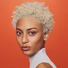 Short Light Blonde Pixie Cut Curly Hair Afro Kinky Curly Wigs for Black Women