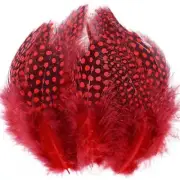100pcs Spotted Feathers Guinea Pheasant Feather 3-6 Inches for Crafts Dream Red
