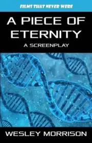 A Piece of Eternity by Wesley Morrison (English) Paperback Book