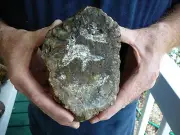 (DF845-10) 6" Fossil REAL DINOSAUR POOP Coprolite Dino Valley Utah DUNG Poo Scat