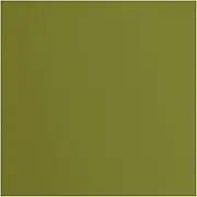 Vaessen-Creative Florence Textured Cardstock, Green Olive, 216 Grams, 12x12 inches, 20 Sheets, for Scrapbooking, Card Making, Die Cutting and Other Paper Crafts, 30.5x30.5cm