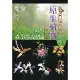 看見台灣原生植物 第二版[7折] TAAZE讀冊生活