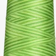 SpringBloom Quilting Thread, 3000 yd - Variegated Green