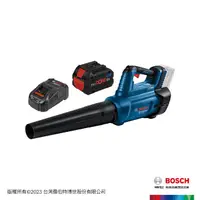 在飛比找momo購物網優惠-【BOSCH 博世】BITURBO 雙渦輪免碳刷鼓風機 GB