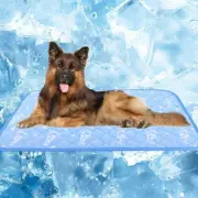 Dog Cooling Mat 59" x 40" Arc-Chill Cool Fiber & Endothermic Color Changing D...