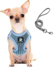 Dog and Cat Universal Harness with Leash - Cat Harness Escape Proof - Adjustable