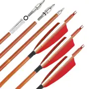 6/12 Carbon Arrows 4" Feathers SP500 Recurve Bow Longbow Archery Hunting Target