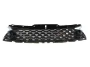 GENUINE MINI Grille 51117255125 Mini Cooper (for: Mini)