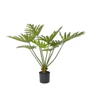 [James Lane] Split Philo Plant Potted - 110cm x 95cm x 92cm
