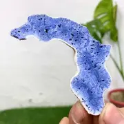 25G Natural Blue Coral Reef Cluster Marine Mineral Crystal Specimen