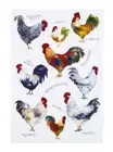 Peking Handicraft Field Guide Roosters Printed Kitchen Towel