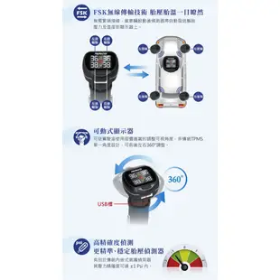 【PAPAGO】獨立型胎外式胎壓偵測器TireSafe S22E (原廠公司貨)