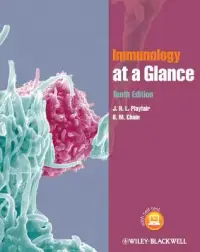 在飛比找博客來優惠-Immunology at a Glance. J.H.L.