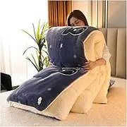 Comforter Duvet Winter Quilt/Quilted Duvet Thickened Warm Quilt Double Duvet Set Duvet Microfiber Soft Bed Quilt Heavy Quilts(#1,180x220cm(3kg))