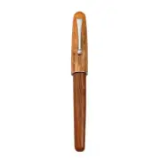 Fountain Pen for Journaling Fine Nib Refill Cartridge for