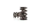 COMP Cams Valve Spring Race Extreme 1.683 in. OD Triple 2.100 in. Installed Height Set of 16