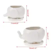 White Small Animal Cub Elephant Plant Pot Miniature Planter With Tray