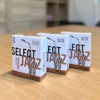 在飛比找蝦皮購物優惠-RICO SELECT JAZZ UNFILED ALTO 