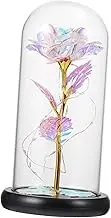 ULDIGI 1pc Artificial Rose Ornament with Dome Desktop Adornment for Home Decoration Simulation Flower with Cozy Light Valentine's Day Present