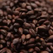 Weyermann Roasted Barley - 1 lb. for Home Brew Beer Making