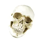 Costume Halloween Light up Ghosts Skull Compact Model Lightweight