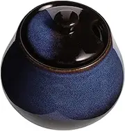 Cabilock Japanese Style Grease Jar Delicate Condiment Container with Lid Scoop for Storing Spices Sugar Seasonings Elegant Kitchen Decor
