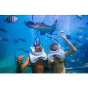 Save 20.00%! Tenerife Guided Sea Trek Underwater Walk