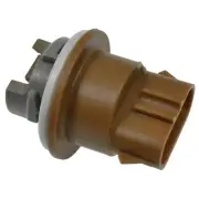 Parking Light Bulb Socket SMP For 2003 Ford Windstar (for: Ford)