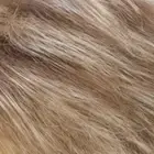 Ryan | Naturalle | Estetica Wigs | Lace Front