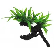 Twin Indo Fern on Log 17cm