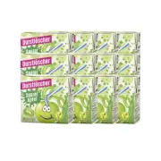 Thirst Quencher Saurer Apple Refreshing Treat 500ml 12er Pack