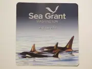 STICKER ~ SEA GRANT: NOAA Healthy Whale Ecosystems & Fisheries College Grants