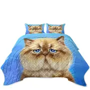 Kittens Cute Drawings Brown Sad Cat over Blue Coverlet