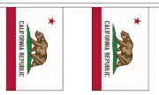 CALIFORNIA U.S. STATE BUNTING 9 metres 30 flags Polyester flag CALIFORNIAN