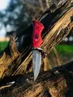 custome handmade damascus steel skinner hunting knife red dollar sheet handle