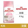【法國皇家 Royal Canin】(K36) 幼貓 4公斤 (貓飼料)