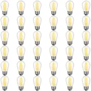 GvvooHome 36 Pack S14 LED Bulbs for Outdoor String Lights, Shatterproof Repla...
