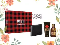 在飛比找Yahoo!奇摩拍賣優惠-DSQUARED2 WOOD 天性男性淡禮盒 (100ml+