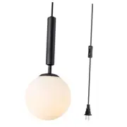 Glass Globe Pendant Light Plug in Vintage Black Mini Hanging Black-Plug In