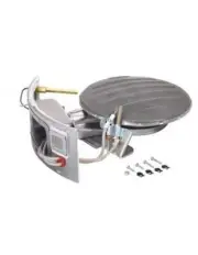 SP21099 Burner Assembly XG50 and PROG50 gal. RHEEM WATER HEATERS (Home Depot)