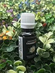 Chamomile Essential Oils ~ Pure Natural Aromatherapy Massage Oil - Therapeutic Grade - 100% Natural Incense - Pure essential oil (100ml)
